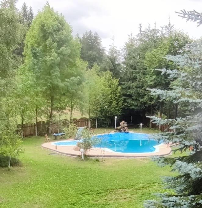 فيلا Cabanita Întorsura Buzăului المظهر الخارجي الصورة