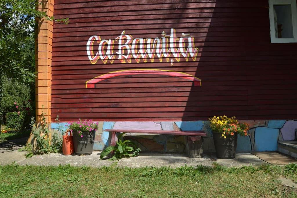 فيلا Cabanita Întorsura Buzăului المظهر الخارجي الصورة