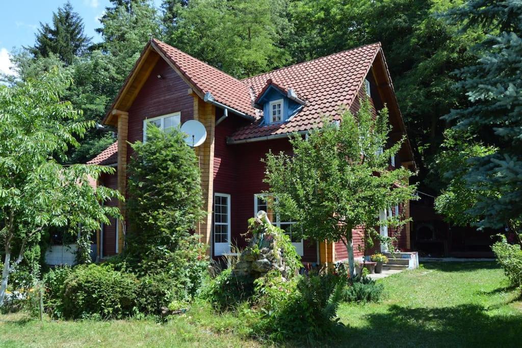 فيلا Cabanita Întorsura Buzăului المظهر الخارجي الصورة