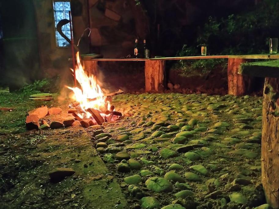 فيلا Cabanita Întorsura Buzăului المظهر الخارجي الصورة