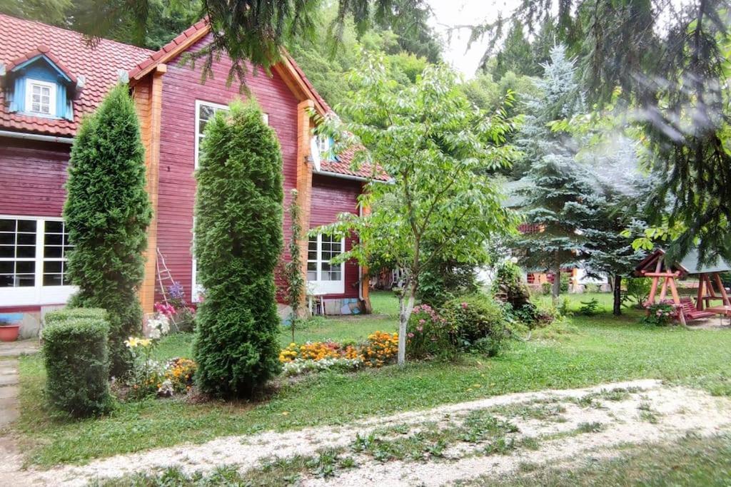 فيلا Cabanita Întorsura Buzăului المظهر الخارجي الصورة