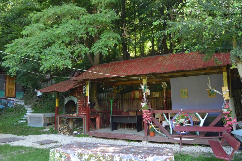 فيلا Cabanita Întorsura Buzăului المظهر الخارجي الصورة